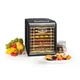 Дегидратор Klarstein Fruit Jerky Plus 9 (10031936) - изображение 1