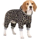 Комбінезон для собак WAUDOG Clothes, малюнок "Леопард", софтшел, XS22 (301-4066) - зображення 3