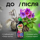 Удобрение органическое "Stimul Natural" 310мл жидкое для балконных и комнатных фиалок бегоний и примул - изображение 5