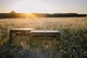 Стол туристический пластиковый Tribe Camp Table Low (T-EF-0003-olive) - изображение 15