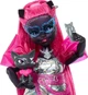 Кукла Монстр Хай Кэтти Нуар с аксессуарами и черным котом-сфинксом Амулет Mattel Monster High Catty Noir (HXH76) - изображение 4