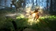 Ключ активації Black Desert: Mythical Edition для Xbox Series S/X - зображення 3