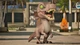 Ключ активации Funko Fusion and Jurassic World Rebirth DLC для Xbox Series S/X - изображение 4