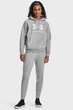 Жіноче сіре худі UA Rival Fleece Big Logo Hdy Under Armour XS 1379501-012 - изображение 2