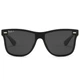 Солнцезащитные очки Ray-Ban GLS-RAY-002 - изображение 1