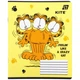Зошит шкільний Kite Garfield GF26-232-4, 12 аркушів, клітинка 25 штук - изображение 10