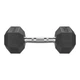 Гантель шестигранний Eleiko XF 6 кг - зображення 1