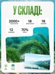 Спирулина из озера Ченхай суперфуд водоросли для похудения таблетки от лишнего веса для энергии TOP Spirulina 500 г в таблетках (1416) - изображение 5