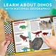 Набор для творчества STEM Гигантское яйцо динозавра National Geographic Giant Dinosaur Egg Activity Kit - изображение 6