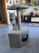 Домик для котика Oppa Styopa Кентукки угловой джут - изображение 2
