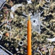 Тонкі макані воскові свічки - Помаранчеві 18 см - зображення 2