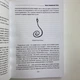 Книга - Колдовской силы (Девин Хантер) - изображение 9