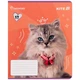Зошит шкільний Kite Rachael Hale R25-232, 12 аркушів, клітинка 25 штук - изображение 12