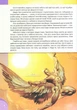 Книга Історія авіації - изображение 5