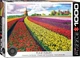 Puzzle Eurographics Pole tulipanów w Holandii 1000 elementów (628136653268) - obraz 1