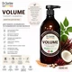 Шампунь для объема Dr. Sorbie Volume Shampoo 1000 мл антихлорный фитошампунь для тонких волос - изображение 2