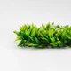Фитомодуль искусственный Белый цвет 40х60 см 119295-012 - изображение 5
