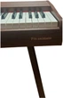 Цифрове піаніно Alfabeto Piu Animato (Light Brown) - зображення 2