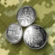 Монеты набор 3 шт Вооруженные Силы Украины в капсулах - изображение 6