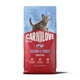 Сухий корм для кошенят Carnilove Active Kittens з лососем та індичкою 6 кг (173708) - зображення 1