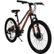 Велосипед AL 24" Spark ROAD, Disk рама 11" бронзовый (239975) - изображение 5