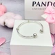 Срібний браслет Пандора Pandora Moments 596477 (16) - изображение 8