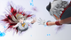 Gra NS2 Digimon Story Time Stranger (Game-Key Card) (3391892039269) - obraz 7