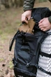 Рюкзак туристический 60 л Tramp Expedition (UTRP-056-black) - изображение 10