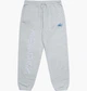 Брюки чоловічі Jordan J Awny Flc Grey XL Сірий FQ5445-091 - зображення 1