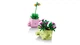 Конструктор Lego Botanicals Рослини, що гойдаються 11506 - зображення 4