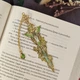 Металева закладка для книг ''Ліс'', закладка для книг меч. мм-0040 - зображення 3