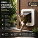 Дверцята для кішок SureFlap Sure Petcare DualScan з мікрочіпом, RFID-бірки для нашийників та сумісність з мікрочіпом, керування - зображення 1