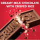Шоколадные батончики Crunch Milk Chocolate and Crisped Rice Fun Size 283г - изображение 6