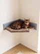 Настенная угловая лежанка-полка для котов Sweet Pet "Мягкий Уголок" с велюровой подушкой, серая - изображение 1