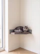 Настенная угловая лежанка-полка для котов Sweet Pet "Мягкий Уголок" с велюровой подушкой, серая - изображение 4
