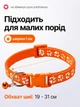 Ошейник для кошек и собак с колокольчиком, регулируемый 19–31 см, нейлоновый, для малых пород, с креплением для поводка (оранжевый) - изображение 2