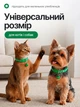 Ошейник для кошек и собак с колокольчиком, регулируемый 19–31 см, нейлоновый, для малых пород, с креплением для поводка (зеленый) - изображение 3