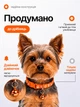 Ошейник для кошек и собак с колокольчиком, регулируемый 19–31 см, нейлоновый, для малых пород, с креплением для поводка (оранжевый) - изображение 4