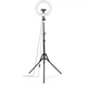 Набор блогера Hama Smartphone Tripod Steady-120 V2, 185см, Bluetooth, LED ring (00004659) - изображение 4