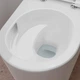 Унитаз подвесной HANSGROHE ELU PURE 62025450 - изображение 2