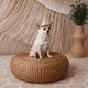 Панама Pet Fashion Gold для собак XS - изображение 7