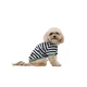 Футболка Pet Fashion Breeze для собак XХS - изображение 2