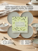 Набір ароматичних свічок-таблеток Candra Tea Leaves 8 шт – аромат чайного листя, горіння до 8 год - зображення 1