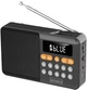 Радіоприймач Zenwire YSF-005BT Black (5904507521530) - зображення 1