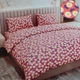 Комплект постельного белья хлопок 100% Andin (2819) Двуспальный 175 x 215 см - изображение 1