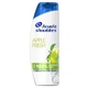 Шампунь Head & Shoulders Яблучна свіжість 250 мл (8006540063248) - изображение 1