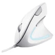 Мишка Trust Verto Ergonomic USB White (25133) - зображення 1