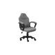 Крісло ігрове GT Racer X-1414 Gray/Gray (X-1414 Fabric Gray/Gray) - изображение 2