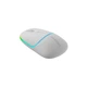 Мишка Canyon MW-22 Dual Band RGB Wireless Snow White (CNS-CMSW22SW) - изображение 2