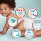 Підгузки Pampers Premium Care Pants Maxi Трусики Розмір 4 (9-15 кг) 114 шт. (8006540490938) - изображение 6